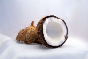 Kokosnøtt